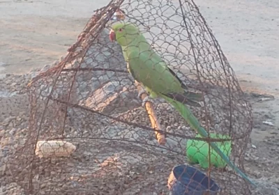 13d1e710-83d7-4ebd-bc72-8f1e7c2ef3ee