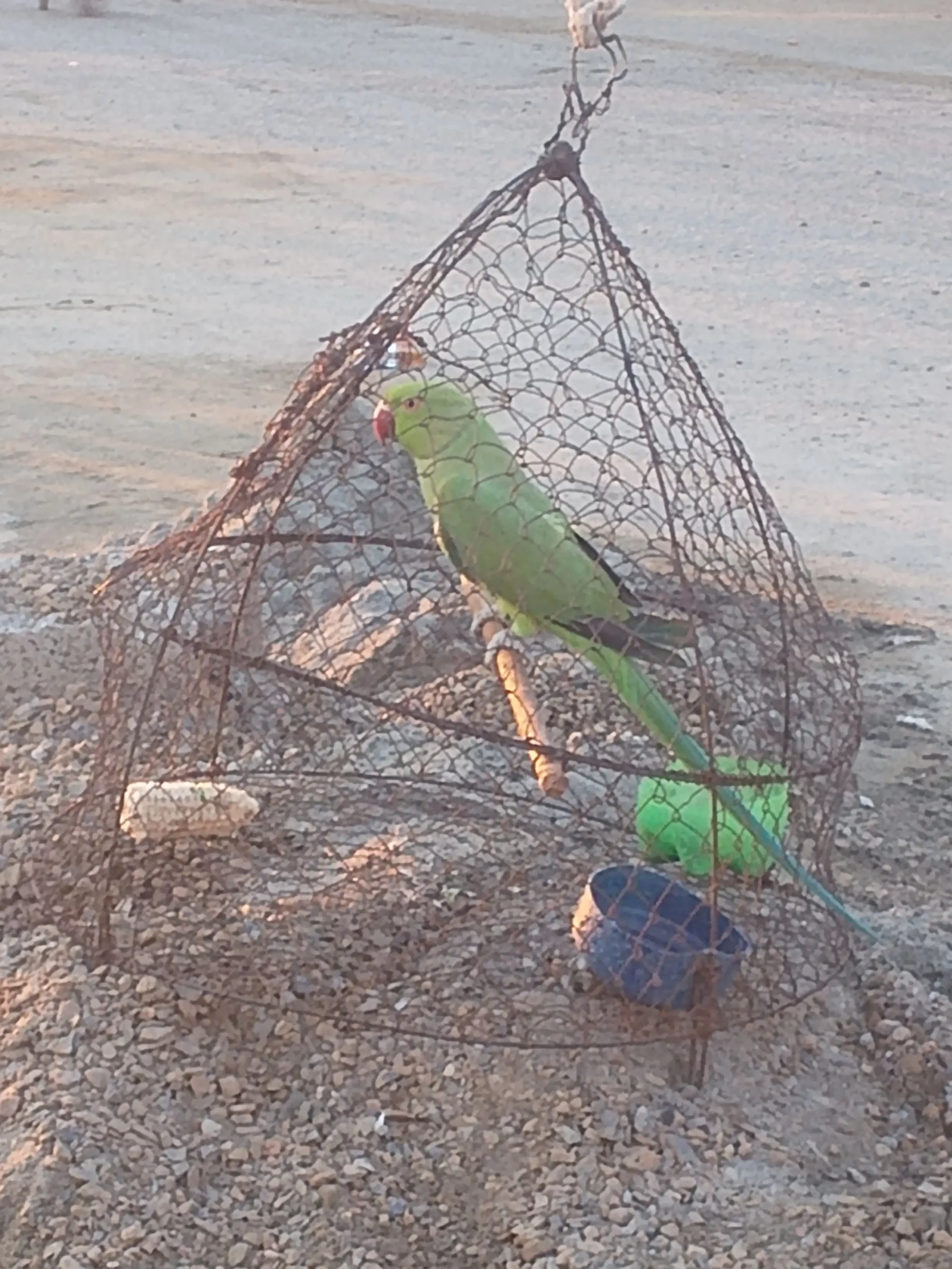 Inshallah munaseb price per milega inshallah zaror