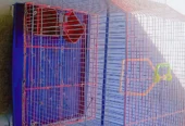 bird cage (4)sale