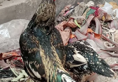 158ef782-166a-4ae8-9c03-6fd10d13f574