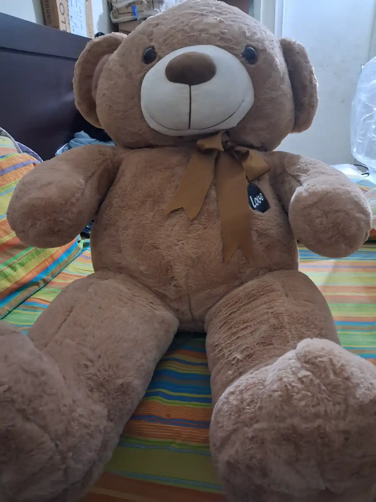 Teddy bear, stuff toy
