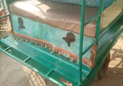 21796fb3-0dd3-4ee5-ae51-d0e9d6e88894