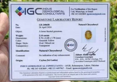 2389133a-e335-4469-b9e1-7bed0de0af49