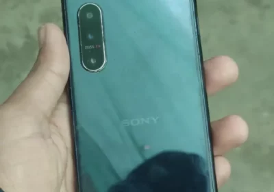 283df856-3cbc-477a-b2e9-58161034f935