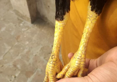 29e4f8d3-6e75-40e6-8542-5cf13de48d9d