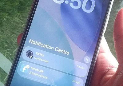 29f60971-13af-4b2a-8fbc-104d521f1a8b