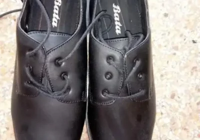 2d5b77d0-f7d9-4161-b313-a8cb25de1331