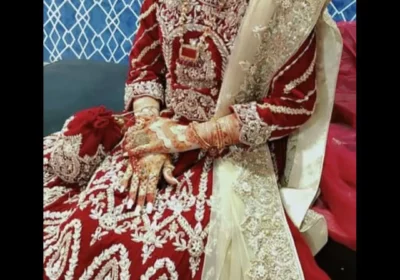 2e47c08d-d120-47b1-9820-e1e721e03221