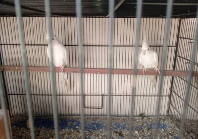 2edfa1a1-13da-472e-b920-a2f15512bc3c