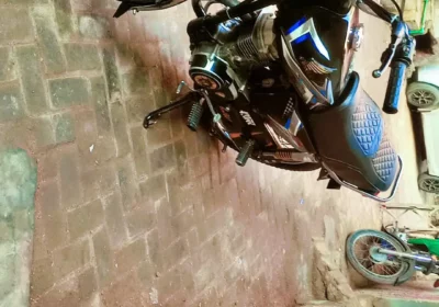 30d8d790-770d-42e5-a9d8-8879ba5c4c81