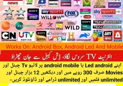 33544e97-4284-4bd6-b99a-5c7454eae820