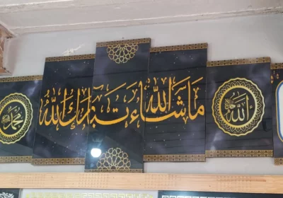 3450760f-9945-41a6-a3f8-88269356cf5a