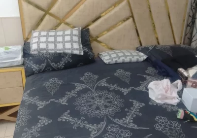 370a2710-1081-482d-9e45-6993ab18a76a-1