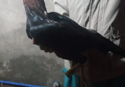 393d96d9-7d90-48d7-97a6-d7aec614ba2b