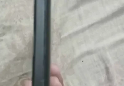 4291870f-492b-444b-af9a-c0f6d99d78ac