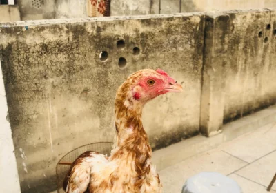 44b44292-5e33-4f85-ae2e-1bdeafd83fb7