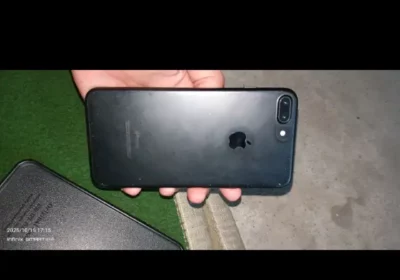 46c901ee-73dc-41b2-a09b-29871347e561