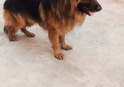 4728cc94-88f8-42d7-99d3-6bc0f60ed5ff