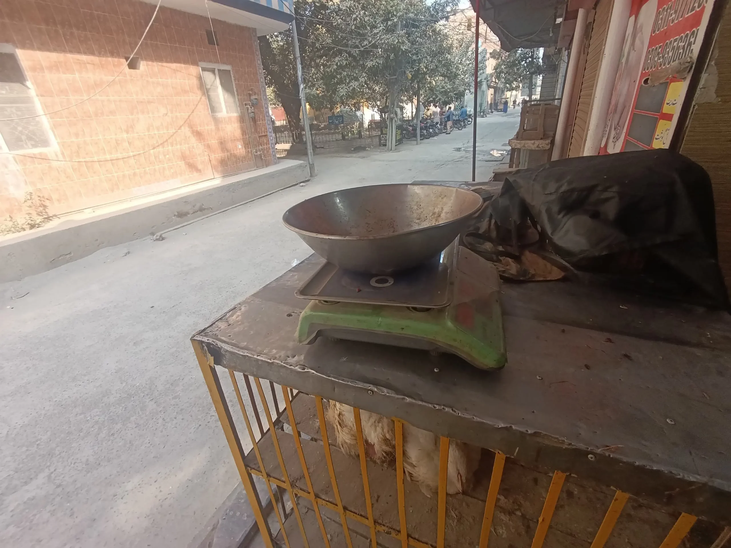 Chicken and vegetable