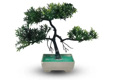 4d611171-5f95-44d8-b46d-8808ecc7d1a8