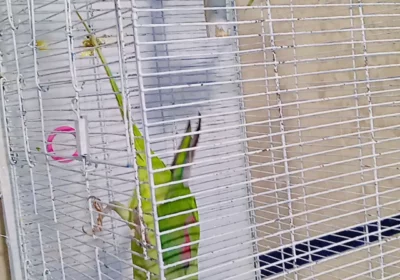 4e66d96b-841e-4b47-b659-a041fdbbdb86