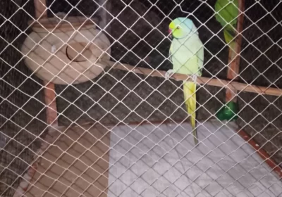 52d253f2-1814-435f-b9c9-10cb80de75c7