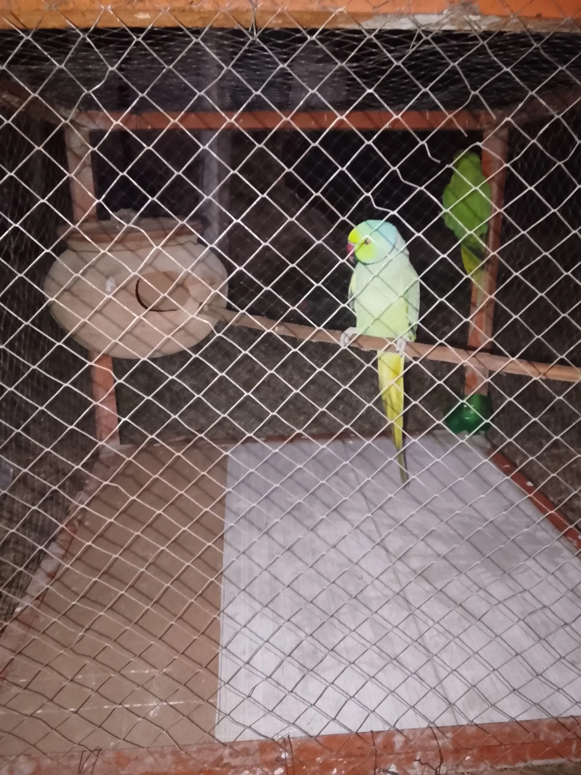 Inshallah munaseb price per milega inshallah zaror