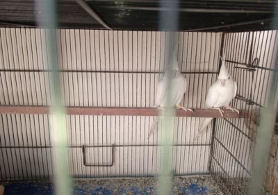 5387ebd1-8f83-425a-88da-ad85f624a8d6