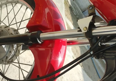 55feb95c-33fe-455f-991d-4a2126485e3a-1