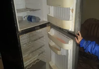 5a0f82b8-e0d1-42fa-ace7-8cd36e20c239