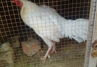 5b248ada-658b-4d3d-98dc-31f28bd27dca