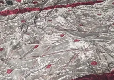 5b5506ea-a4a9-465e-a933-d13a483460b8