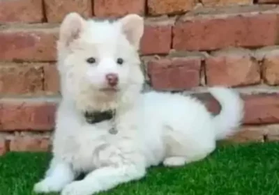 5cac30b3-e746-490f-ba92-d36aa23776eb