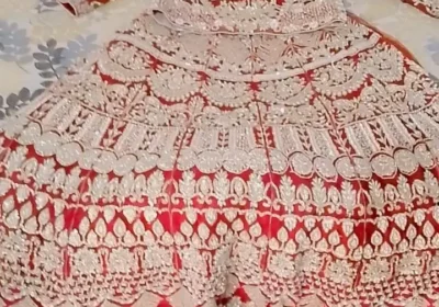 5d8e58d2-fb1a-487d-9326-ff36762b8afb