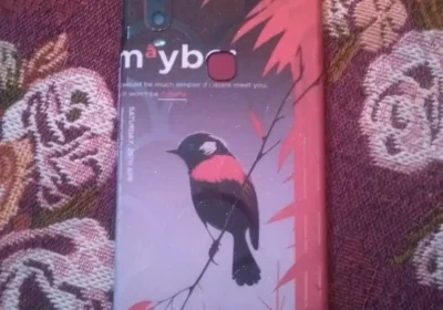 5f21ac82-b1cf-4584-9499-dc46b4ceb5b9