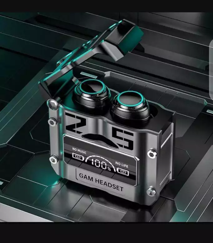 Earbuds Model 25 All Pakistan Delivery