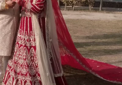 66c8df56-d493-4148-9ec8-0bc34cdc196d