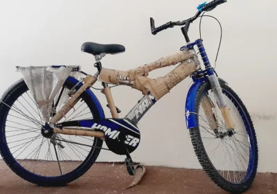 6905eb88-433c-415b-b6f7-b1a0aa087143