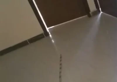 6e6a5b45-9c03-4807-b32f-c8c2d845ac1c