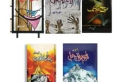 Pack Of 5 Books: Hasil | Lahasil | Hurf Se Lafz Tak | Pahari Ka Qaidi | Qaraqaram Ka Taj M