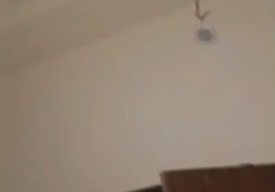 703d7aff-f3c6-4442-9f3b-fd242fc2ede5