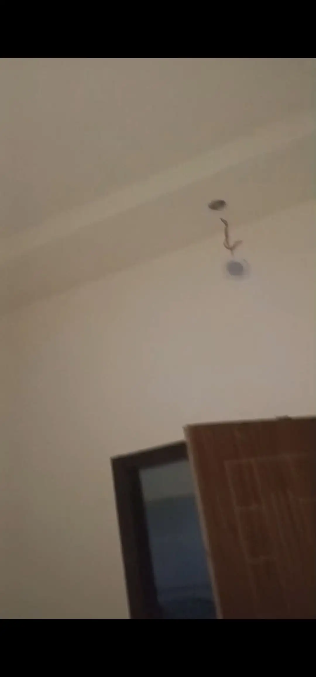 Furnished house for sale