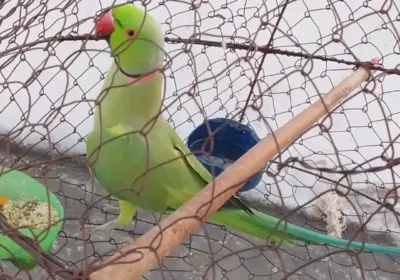 751b01b4-d47e-4d70-9a72-18481de826ab