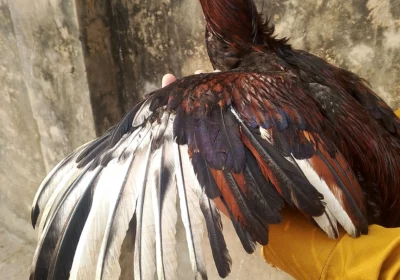 7b4ed07a-f290-41a6-8eaf-b41f0a8b63e3