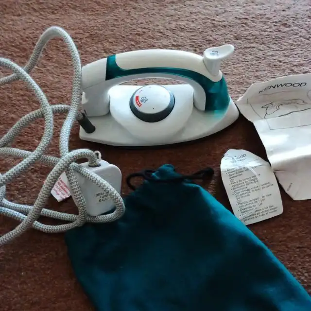 Traveling steam iron