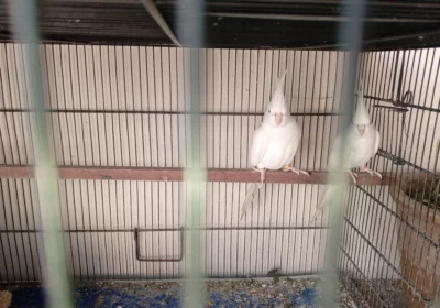 7ba59fb0-d066-4dd2-81f9-8531bbede3a7