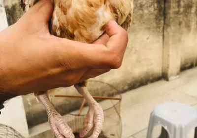 7cec5e9d-cec2-4d2d-94ce-53e719b0406b