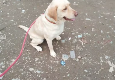 7d9751e8-1089-4450-a1ae-1aedaafefaee