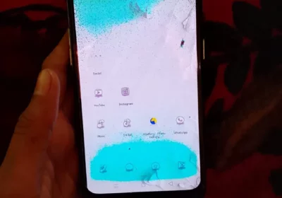 7f42224c-955a-4413-abe6-883f0badc486