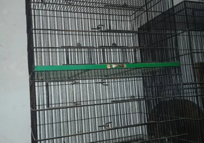 851e0450-4b74-4b62-b7a8-e7e6a0058cb2